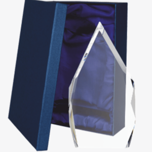 Stiklinis apdovanojimas C073