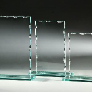 Stiklinis apdovanojimas 66631