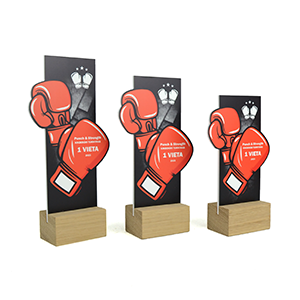 Nestandartiniai apdovanojimai EK006