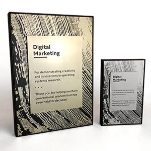 Nestandartinis apdovanojimas MR002