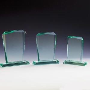 Stiklinis apdovanojimas  67977