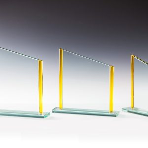 Stiklinis apdovanojimas  67681