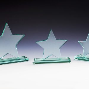 Stiklinis apdovanojimas 68012