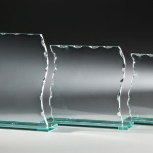 Stiklinis apdovanojimas  66621