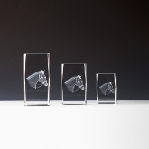 Stiklinis apdovanojimas 67614