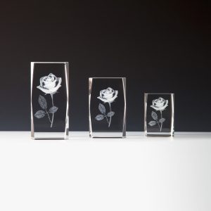 Stiklinis apdovanojimas 67626