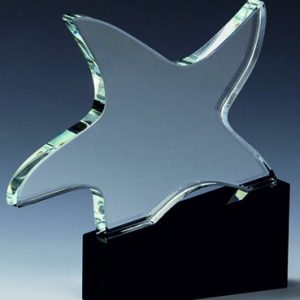 Stiklinis apdovanojimas  68021