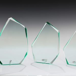 Stiklinis apdovanojimas  67202