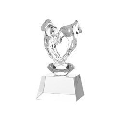 Stiklinis apdovamojimas W626