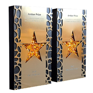 Nestandartinis apdovanojimas su gintaru SC004