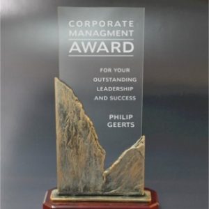 Lieta figūrėlė TRK325