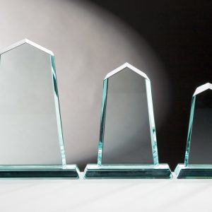 Stiklinis apdovanojimas  65511